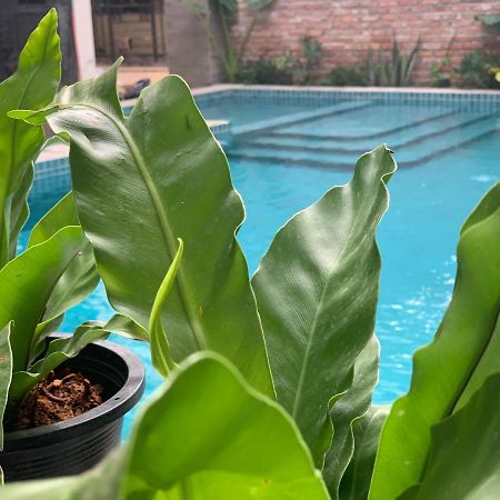 The J Break Boutique Hotel Kampot Eksteriør billede